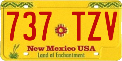 NM license plate 737TZV