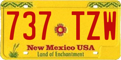 NM license plate 737TZW