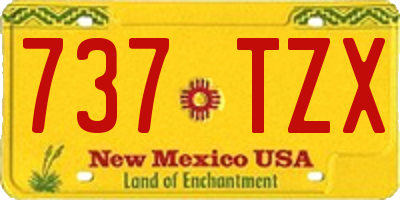 NM license plate 737TZX