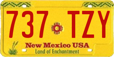 NM license plate 737TZY