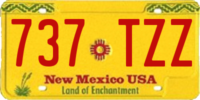 NM license plate 737TZZ