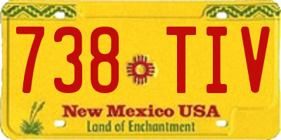 NM license plate 738TIV