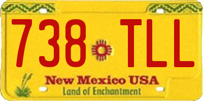 NM license plate 738TLL