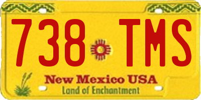 NM license plate 738TMS