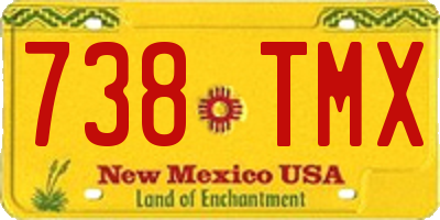 NM license plate 738TMX
