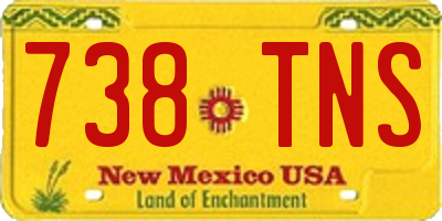 NM license plate 738TNS