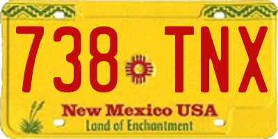 NM license plate 738TNX