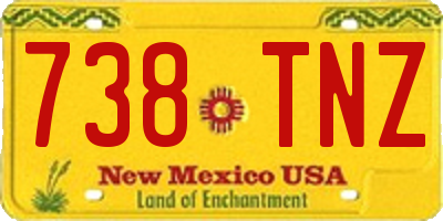 NM license plate 738TNZ