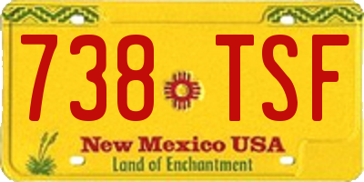 NM license plate 738TSF