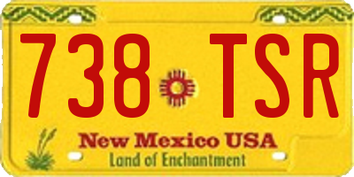 NM license plate 738TSR