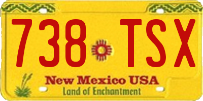 NM license plate 738TSX