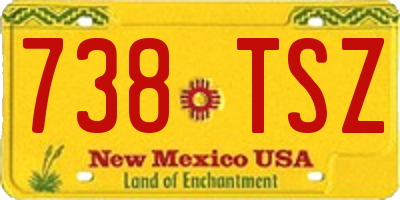 NM license plate 738TSZ