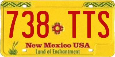 NM license plate 738TTS