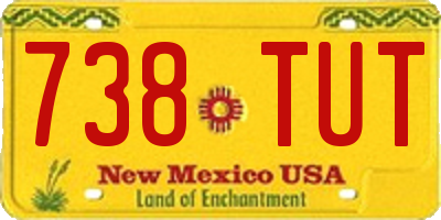 NM license plate 738TUT