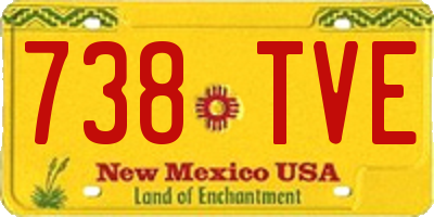 NM license plate 738TVE
