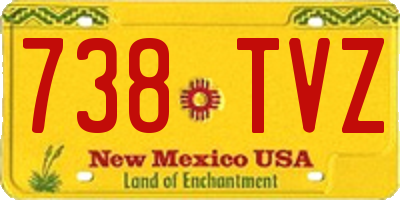 NM license plate 738TVZ