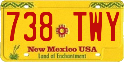 NM license plate 738TWY