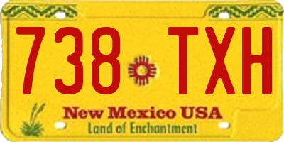 NM license plate 738TXH