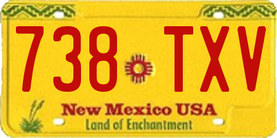 NM license plate 738TXV