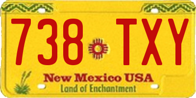 NM license plate 738TXY