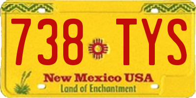NM license plate 738TYS