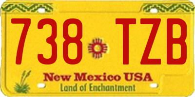 NM license plate 738TZB