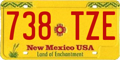 NM license plate 738TZE