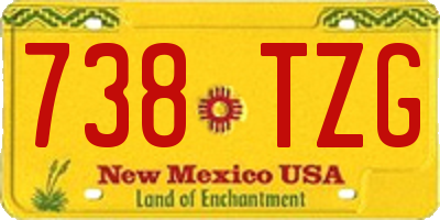 NM license plate 738TZG