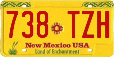 NM license plate 738TZH