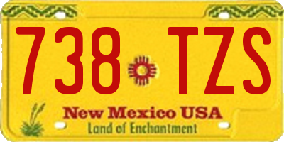 NM license plate 738TZS