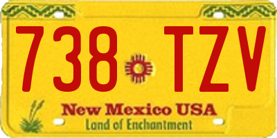 NM license plate 738TZV