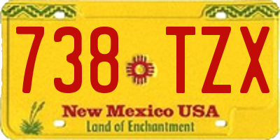 NM license plate 738TZX