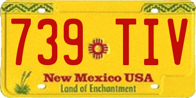 NM license plate 739TIV