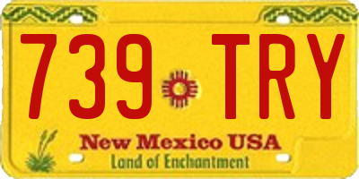 NM license plate 739TRY