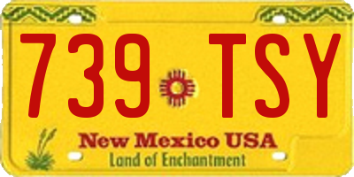 NM license plate 739TSY