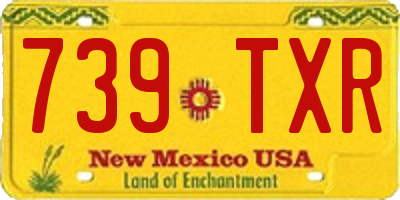 NM license plate 739TXR