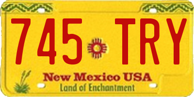 NM license plate 745TRY