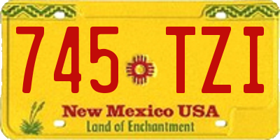 NM license plate 745TZI