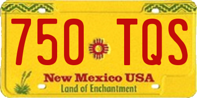 NM license plate 750TQS