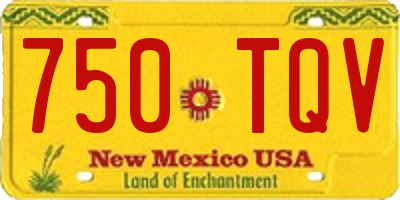 NM license plate 750TQV
