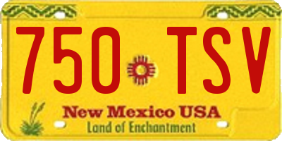 NM license plate 750TSV