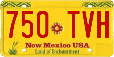 NM license plate 750TVH