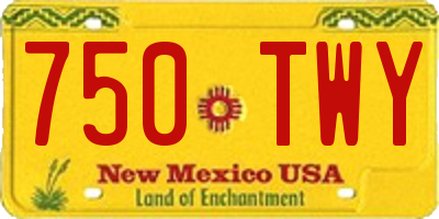 NM license plate 750TWY