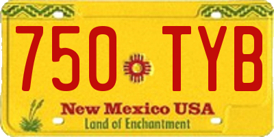 NM license plate 750TYB