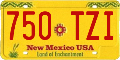 NM license plate 750TZI