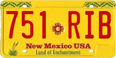 NM license plate 751RIB