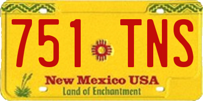 NM license plate 751TNS