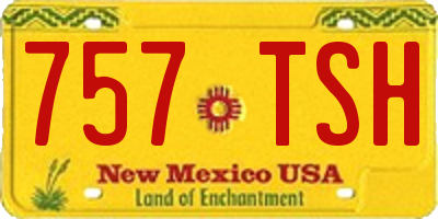 NM license plate 757TSH