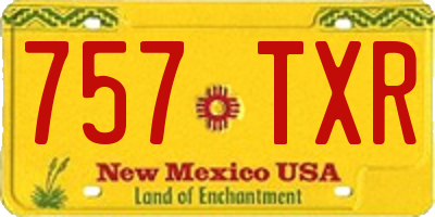 NM license plate 757TXR