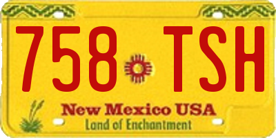 NM license plate 758TSH